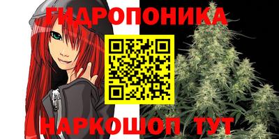 мдпв Чапаевск