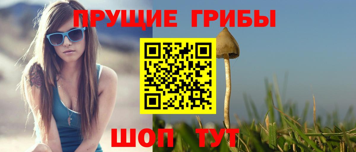Псилоцибиновые грибы мухоморы  Вход с VPN  как найти наркотики  Татарск 